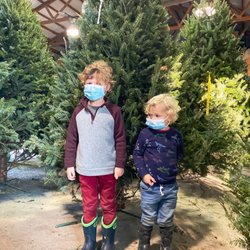 Roehler's Christmas Tree Farm - We found a great tree.