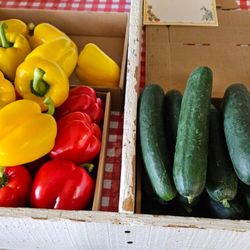 Theis Farm Market’s Evergreen Farm & Katie’s Garden - Fresh cucumbers and sweet peppers.