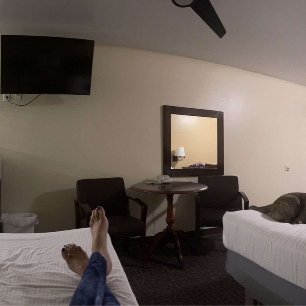 Town House Motel - Pano pic of our room. 2 Queen beds with 4 pillows on each bed, tv, microwave, fridge with separate freezer door. - Hotels Near Me - Lusk, Wyoming Town House Motel - Pano pic of our room. 2 Queen beds with 4 pillows on each bed, tv, microwave, fridge with separate freezer door. - Hotels Near Me - Lusk, Wyoming