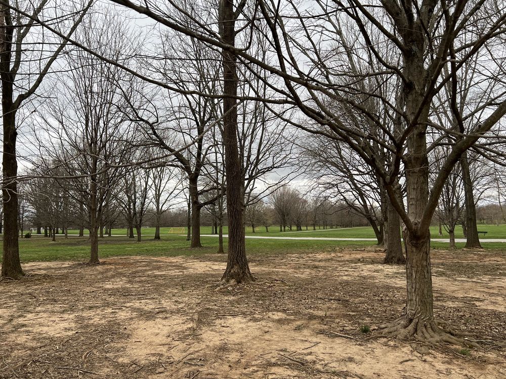 E.P. TOM SAWYER STATE PARK Updated April 2025 157 Photos & 50