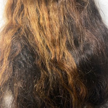 Lunar Salon - This was how this hair came out it still was really dry and I paid for a protein treatment and they scammed me - Hair Salons Near Me - Las Vegas, Nevada Lunar Salon - This was how this hair came out it still was really dry and I paid for a protein treatment and they scammed me - Hair Salons Near Me - Las Vegas, Nevada