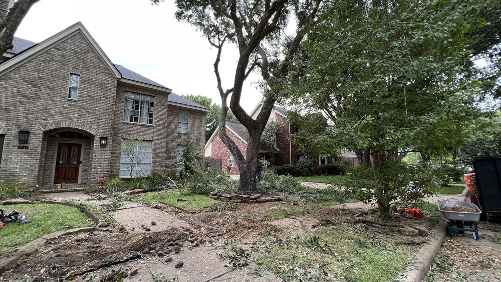 Torres Tree Service - tree service in Houston, TX