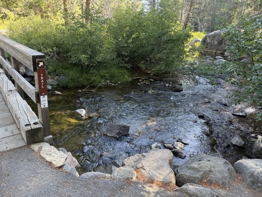 Donner Memorial State Park by null