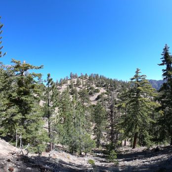 Winston Peak - Hiking Near Me - Pearblossom, California