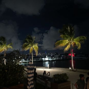 Regatta Grove - Cocktail Bars Near Me - Miami, Florida