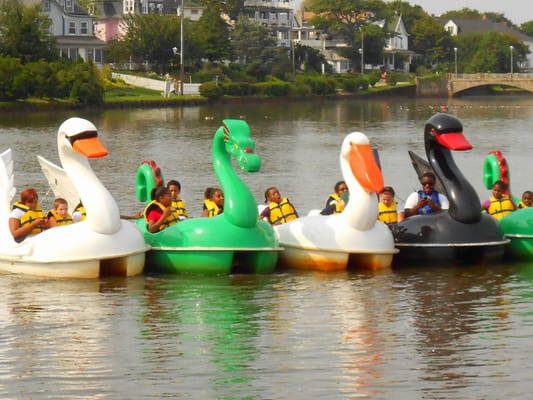 Asbury Park Pedal Boats by null