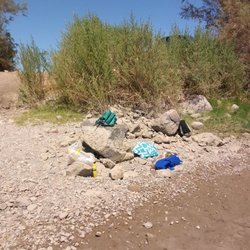 Palo Verde County Park - Things near the Colorado Rivers edge... Relaxing