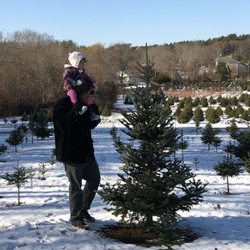 Tree Berry Farm