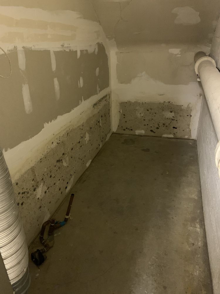 Bay Area Mold Pros - mold inspector in San Francisco, CA