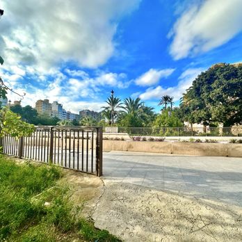 Parque Municipal Elx - Palmeral de Elche - Local Flavor Near Me - Elche, A