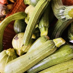 Farmer's Daughter - Squash
