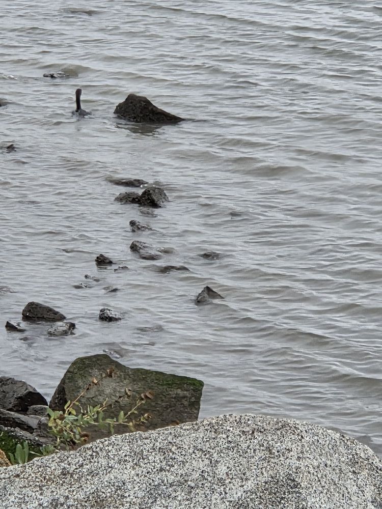 Benicia Public Pier & Beach