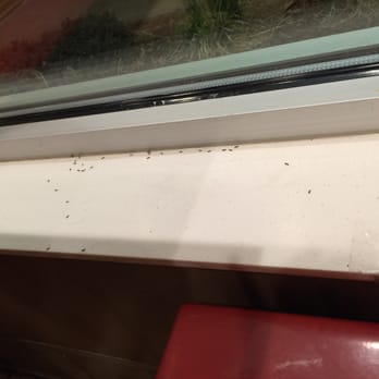 KFC - Fast Food Near Me - Sayre, Pennsylvania
