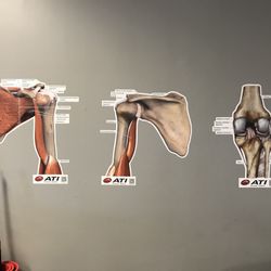 ATI Physical Therapy