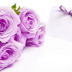 Psychic Medium Jodi Lynn & The Mystics Touch Gift Shop - Find Soul Speaking with Certified Medium Jodi-Lynn on Spotify