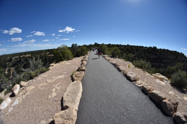 South Rim Trail by null