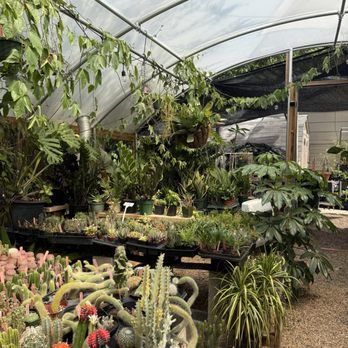 Eden House Botanicals - Nurseries & Gardening Near Me - Austin, Texas