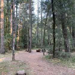 Grassy Flat Campground - I genuinely appreciated the surroundings here at Grassy Flat Campground.