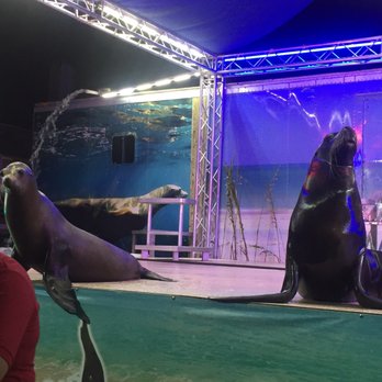 New Mexico State Fair - Festivals Near Me - Albuquerque, New Mexico