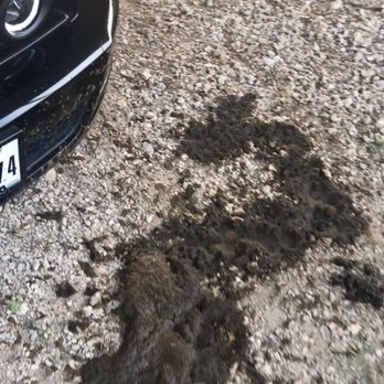 Wash Masters - Midlothian - Cow spatter - Didn't touch it and guy with brush didn't do anything prior to entry.  LAZY/SCAM - Car Wash Near Me - Midlothian, Texas