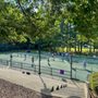Photo of Cary Tennis Park