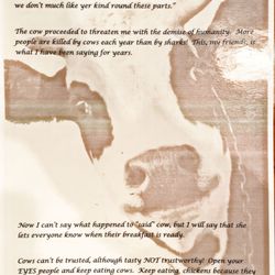 Proof that cows cannot be trusted.