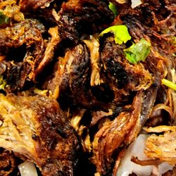 Jose's Mexican Cantina - Nasty, dry, burnt carnitas. Inedible!