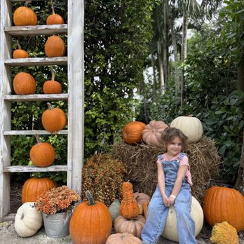 Tinez Farms - Attraction Farms Near Me - Miami, Florida Tinez Farms - Attraction Farms Near Me - Miami, Florida