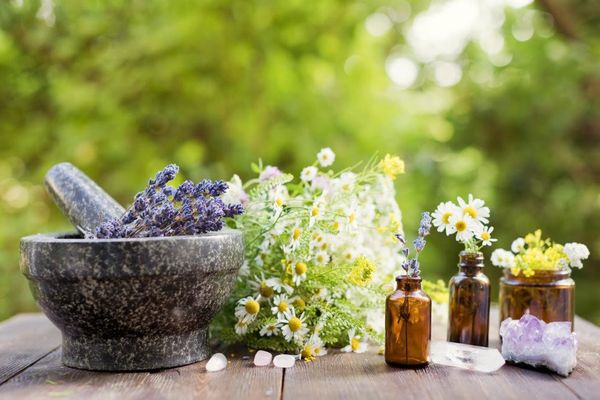 Contact for a complimentary session - Not sure if homeopathy is right for you? Start with a free 20-minute chat with Alisa. No commitment, no pressure — just an honest conversation about where you are and how homeopathy might support your healing journey.