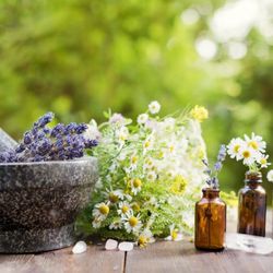 Homeopathic Well Being - Homeopathic Well Being - 415-494-9778