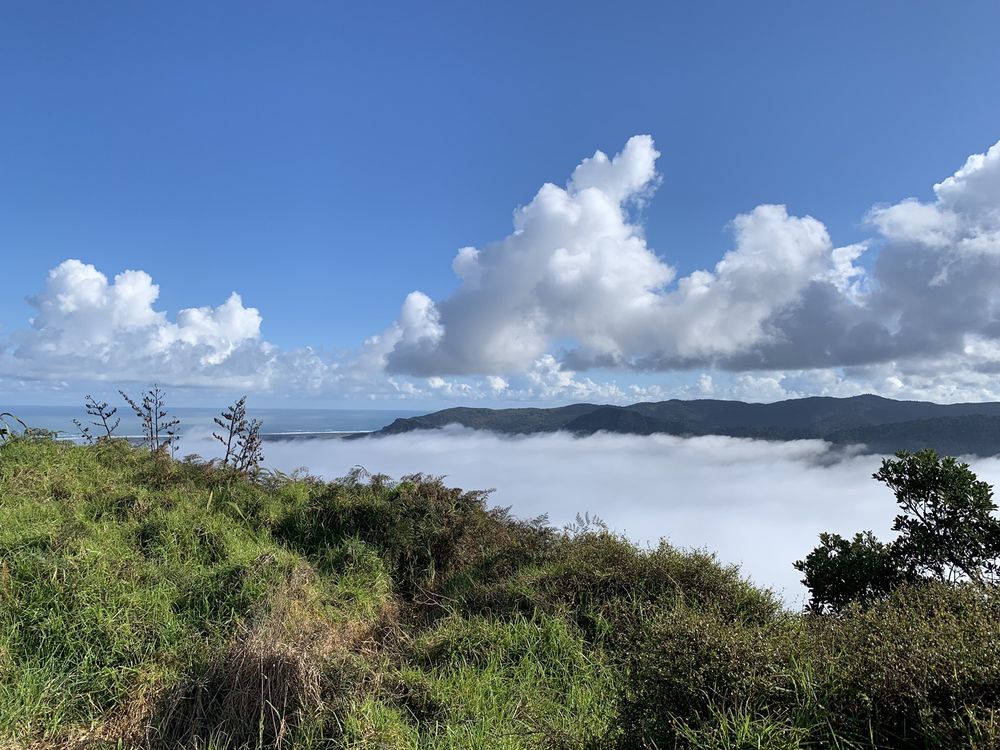 MANUKAU HEADS LIGHTHOUSE Updated May 2024 13 Photos 759 Manukau