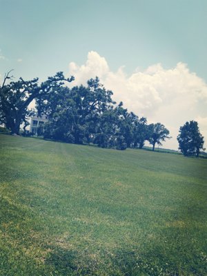 St. Joseph Plantation and Felicity Plantation by null