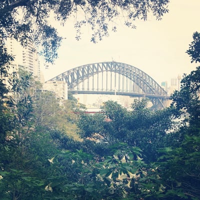 Wendy Whiteley's Secret Garden by null