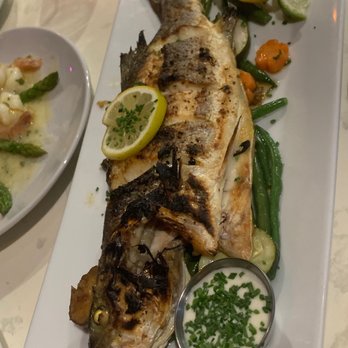 Casablanca - Branzino - Seafood Near Me - Miami, Florida Casablanca - Branzino - Seafood Near Me - Miami, Florida