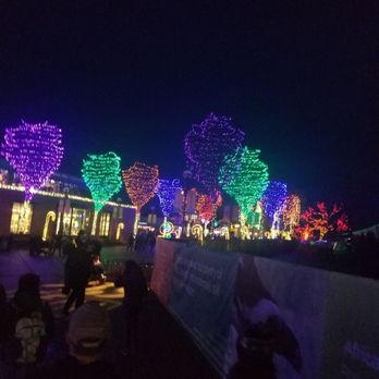 Zoolights - Awwwwwe - Local Flavor Near Me - Chicago, Illinois