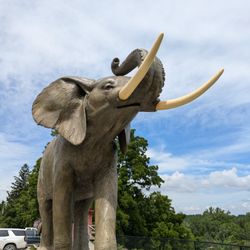 Jumbo the Elephant Memorial - Jumbo the Elephant Memorial, Saint Thomas Ontario