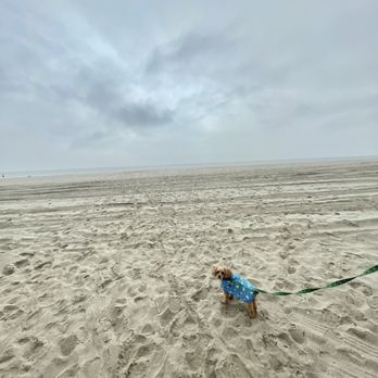 CAPE MAY BEACH - Updated December 2025 - 284 Photos & 80 Reviews - Cape