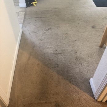 Stay Cleaned Up - High traffic zone - before - Carpet Cleaning Near Me - Hayward, California Stay Cleaned Up - High traffic zone - before - Carpet Cleaning Near Me - Hayward, California