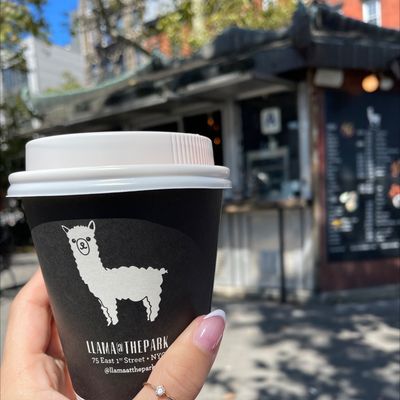 The Lazy Llama Coffee Bar by null