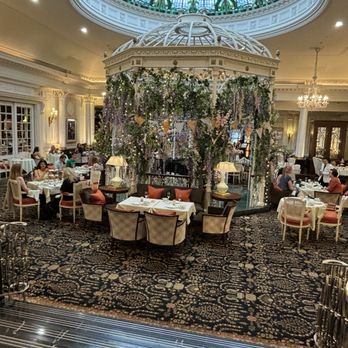 Savoy Tea - Tea Rooms Near Me - Strand, XGL Savoy Tea - Tea Rooms Near Me - Strand, XGL
