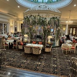 Savoy Tea