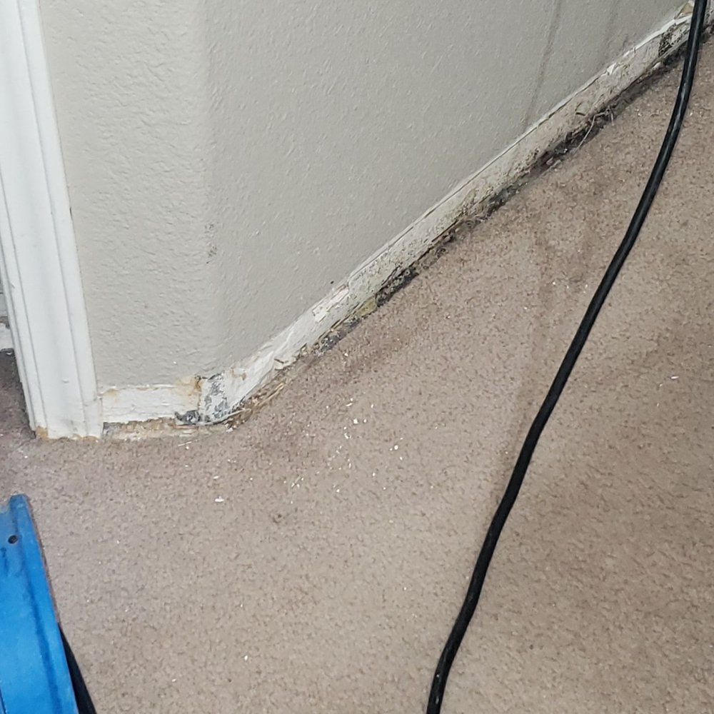 Pro Restoration - a carpeted room with a blue blower - General Contractors Near Me - Las Vegas, Nevada Pro Restoration - a carpeted room with a blue blower - General Contractors Near Me - Las Vegas, Nevada