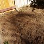 Photo of Discount Stump Grinding
