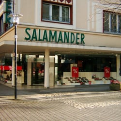 Salamander