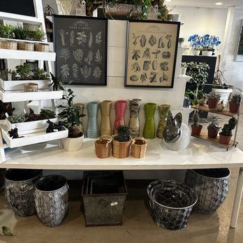 Action Sod & Landscape Gardens - Display - Nurseries & Gardening Near Me - Miami, Florida Action Sod & Landscape Gardens - Display - Nurseries & Gardening Near Me - Miami, Florida