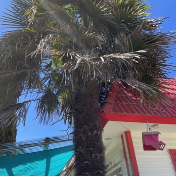 Island Queen - Love the palm trees - Burgers Near Me - Vashon, Washington Island Queen - Love the palm trees - Burgers Near Me - Vashon, Washington
