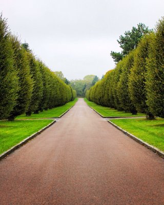 Bispebjerg Cemetery by null