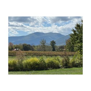 Veritas Vineyard & Winery - The absolute stunning view from our table on the back patio. - Wineries Near Me - Afton, Virginia Veritas Vineyard & Winery - The absolute stunning view from our table on the back patio. - Wineries Near Me - Afton, Virginia