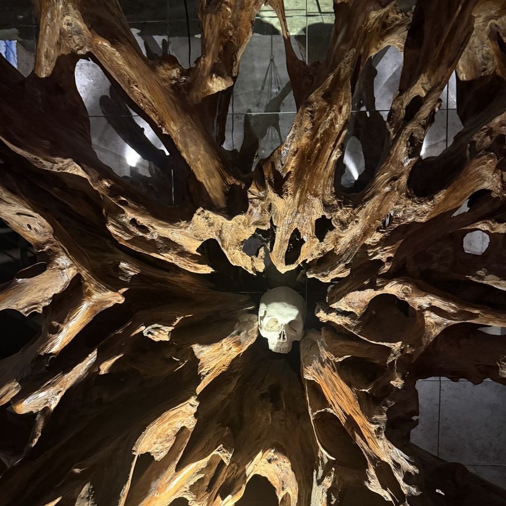 Slate Theory Winery - Wine Tasting Room Near Me - Fredericksburg, Texas