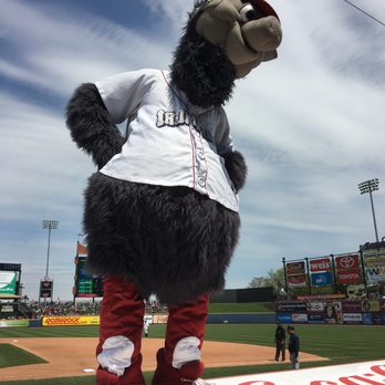 Lehigh Valley Ironpigs - Amateur Sports Teams Near Me - Allentown, Pennsylvania